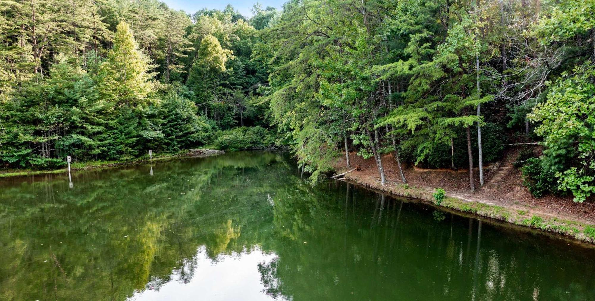 Lakeside Retreat Hot Tub Fishing Hiking Ellijay Εξωτερικό φωτογραφία